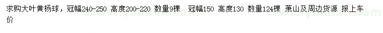 求購大葉黃楊球