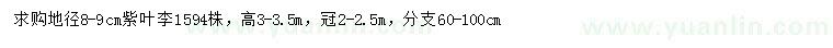求購(gòu)地徑8-9公分紫葉李