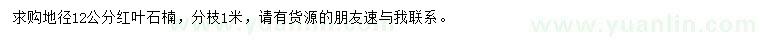 求購地徑12公分紅葉石楠