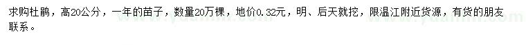 求購高20公分杜鵑