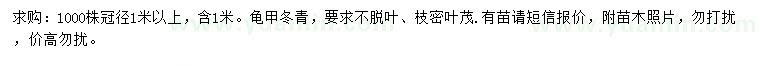 求購冠幅1米以上龜甲冬青