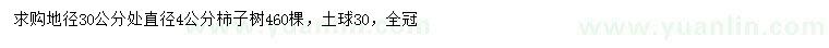 求購(gòu)30公分量4公分柿子樹