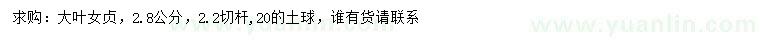 求購2.8公分大葉女貞
