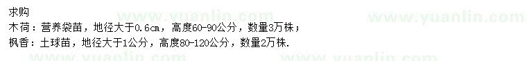 求購高60-90公分木荷、80-120公分楓香