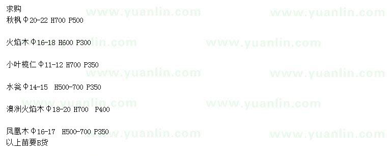 求購秋楓、火焰木、小葉欖仁等