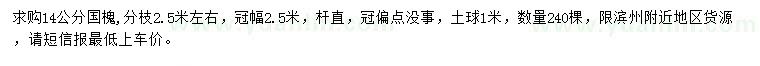 求購14公分國槐