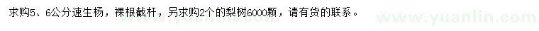 求購5、6公分速生楊、2公分梨樹