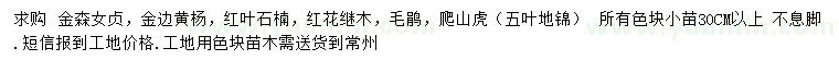 求購(gòu)金森女貞、金邊黃楊、紅葉石楠等