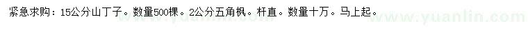 求購15公分山丁子、2公分五角楓