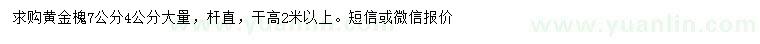 求購4、7公分黃金槐