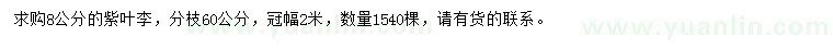 求購8公分紫葉李