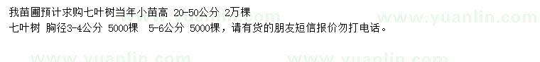 求購(gòu)七葉樹、七葉樹當(dāng)年小苗