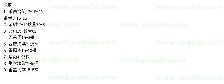 求購樂昌含笑、欒樹、女貞等