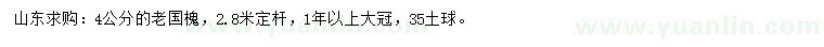求購(gòu)4公分老國(guó)槐