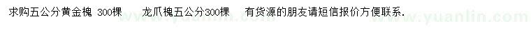 求購五公分黃金槐、龍爪槐