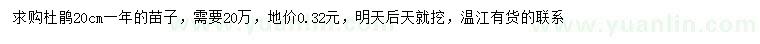 求購20公分杜鵑