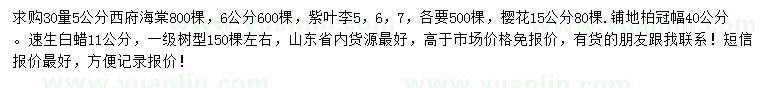 求購西府海棠、紫葉李、櫻花等