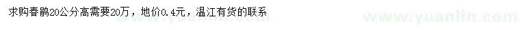 求購(gòu)高20公分春鵑