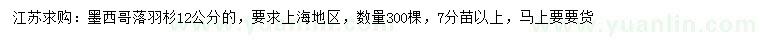 求購12公分墨西哥落羽杉