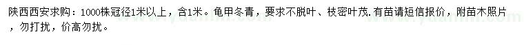 求購冠徑1米以上龜甲冬青