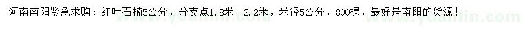 求購(gòu)5公分紅葉石楠