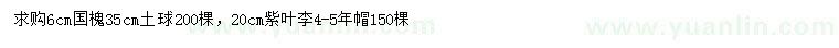 求購6公分國(guó)槐、20公分紫葉李