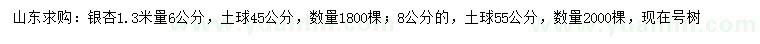 求購(gòu)1.3米量6、8公分銀杏