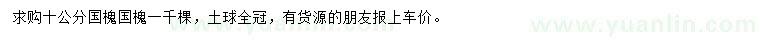 求購(gòu)10公分國(guó)槐