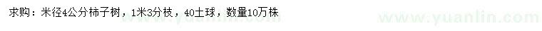 求購米徑4公分柿子樹
