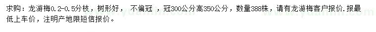 求購冠300公分龍游梅