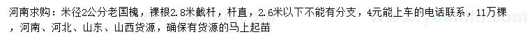 求購米徑2公分老國槐