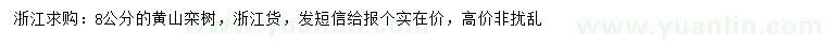 求購(gòu)8公分黃山欒樹(shù)