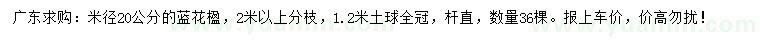 求購(gòu)米徑20公分藍(lán)花楹