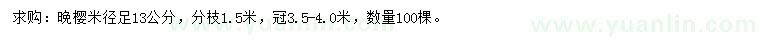 求購米徑足13公分晚櫻