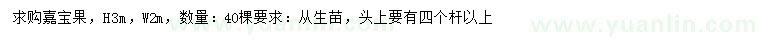 求購高3米嘉寶果