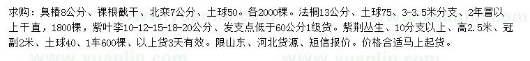 求購(gòu)臭椿、北欒、紫葉李