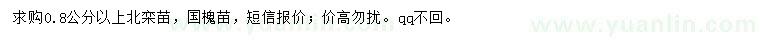 求購0.8公分以上北欒苗