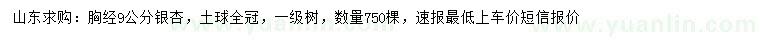 求購胸經(jīng)9公分銀杏
