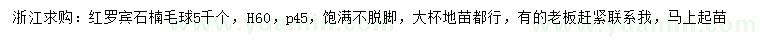 求購(gòu)高60公分紅羅賓石楠毛球