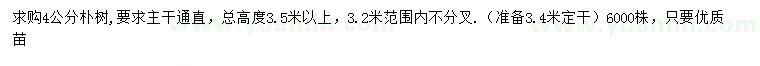 求購(gòu)4公分樸樹(shù)