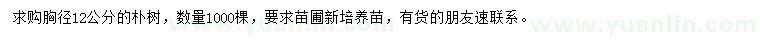 求購(gòu)胸徑12公分樸樹(shù)