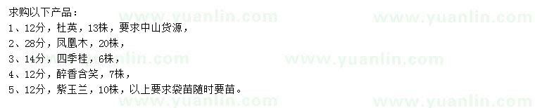 求購(gòu)杜英、鳳凰木、四季桂等