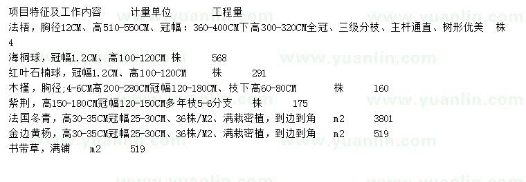 求購法梧、海桐球、紅葉石楠球等