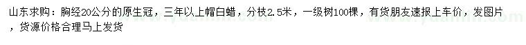 求購胸經(jīng)20公分白蠟