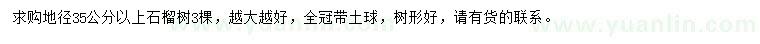 求購地徑35公分以上石榴樹