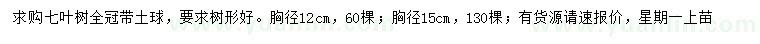 求購胸徑12、15公分七葉樹