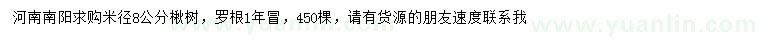 求購米徑8公分楸樹