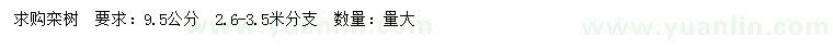 求購(gòu)9.5公分欒樹