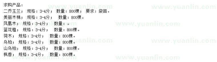 求購二喬玉蘭、美麗木棉、鳳凰木等