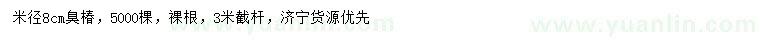 求購(gòu)米徑8公分椿樹(shù)